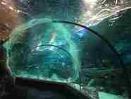 Sochi Discovery World Aquarium (Kurortny Gorodok) - 2020 All You Need ...
