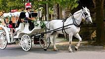 Carriage Ride In Central Park (VIP - PRIVATE) Since 1964™