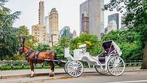 Private NYC Central Park Horse Carriage Ride (Guided) Since 1965™